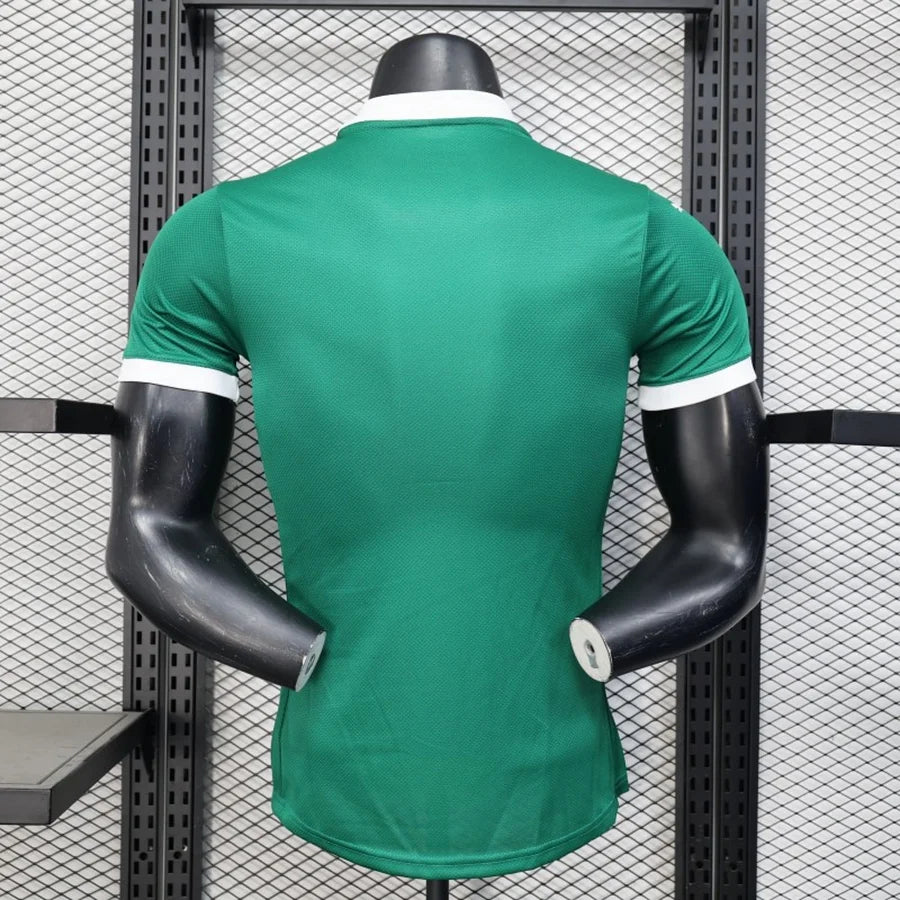 Palmeiras 25-26 Home