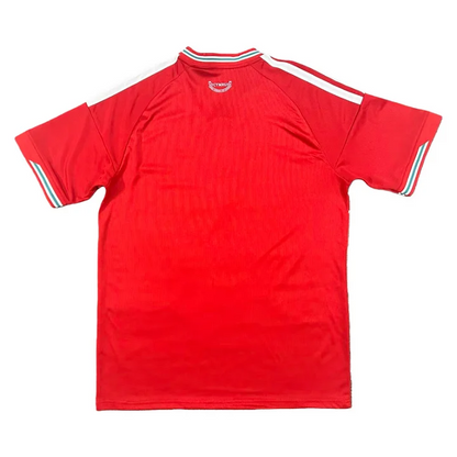 Wales 2026 Home