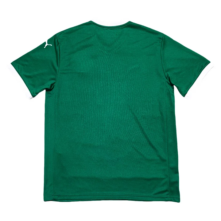 Palmeiras 25-26 Home
