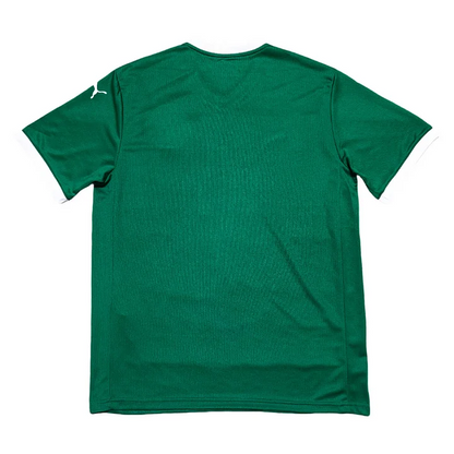 Palmeiras 25-26 Home